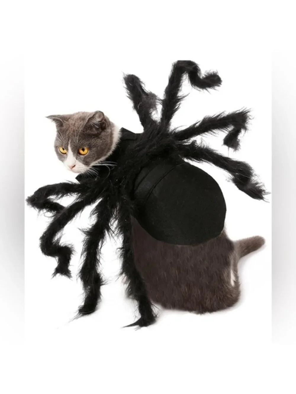 Halloween Pet Spider Costume -